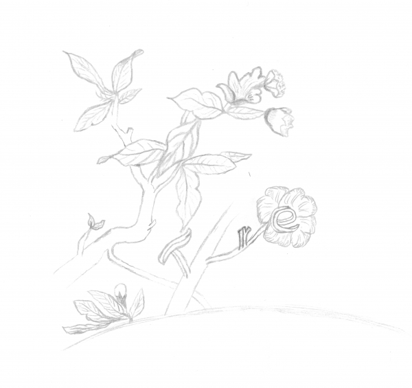 Creation of tree: Step 1